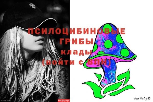 jwh Ельня