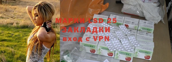 ешки Елизово