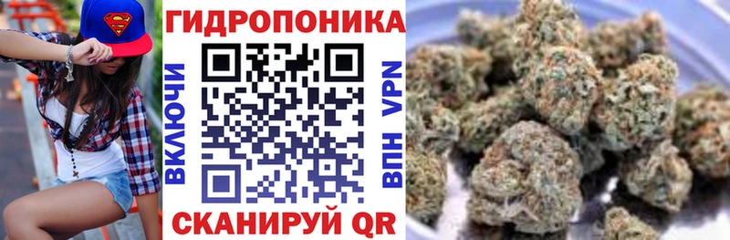 Каннабис ГИДРОПОН  Купить закладки  Эртиль 